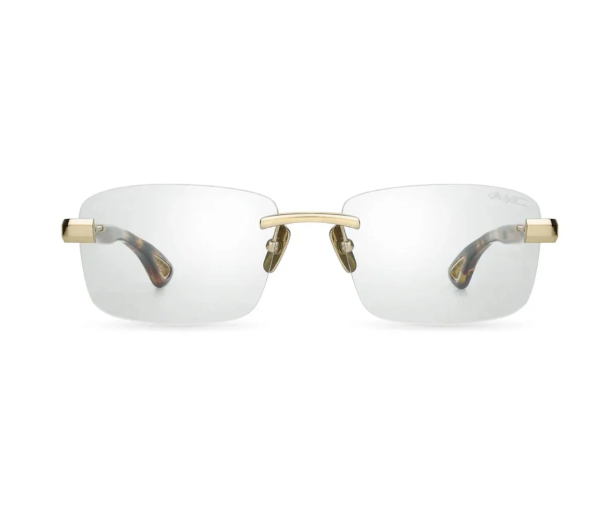 36A CLASSIC TORTOISE - WHITE GOLD 58