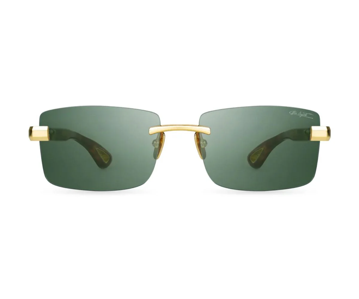 36C CLASSIC TORTISE - WHITE GOLD 58